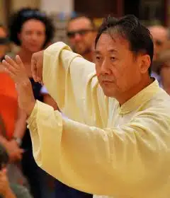 tai chi, taiji, martial