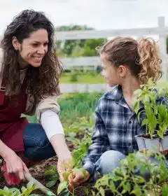 bienfaits du jardinage