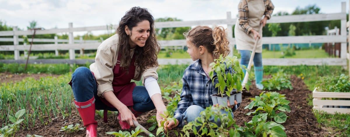 bienfaits du jardinage