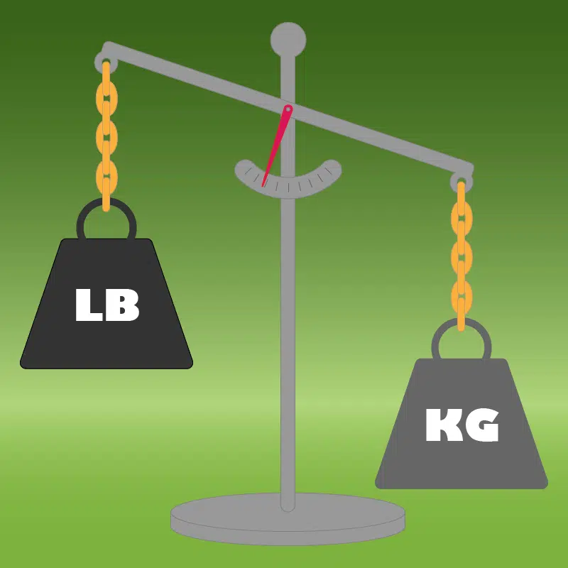 Conversion De Livres En Kilogrammes Convertir Convertir Lb En Kg 