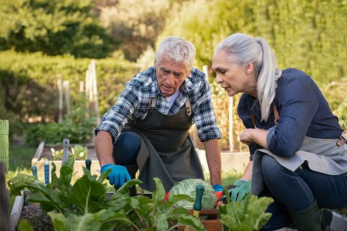 bienfaits du jardinage